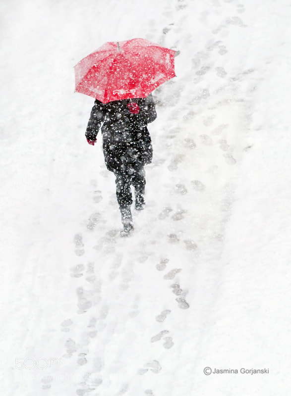 Olympus OM-D E-M1 Mark II sample photo. Red umbrella photography