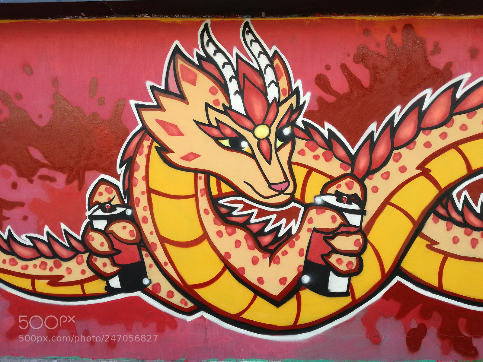 HUAWEI P9 LITE sample photo. Mural en biblioteca at photography