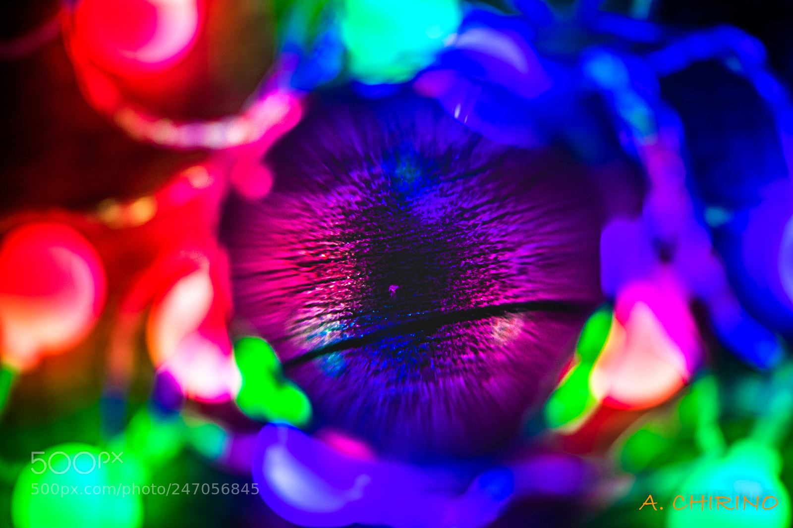 Nikon D3400 sample photo. Abstracto photography