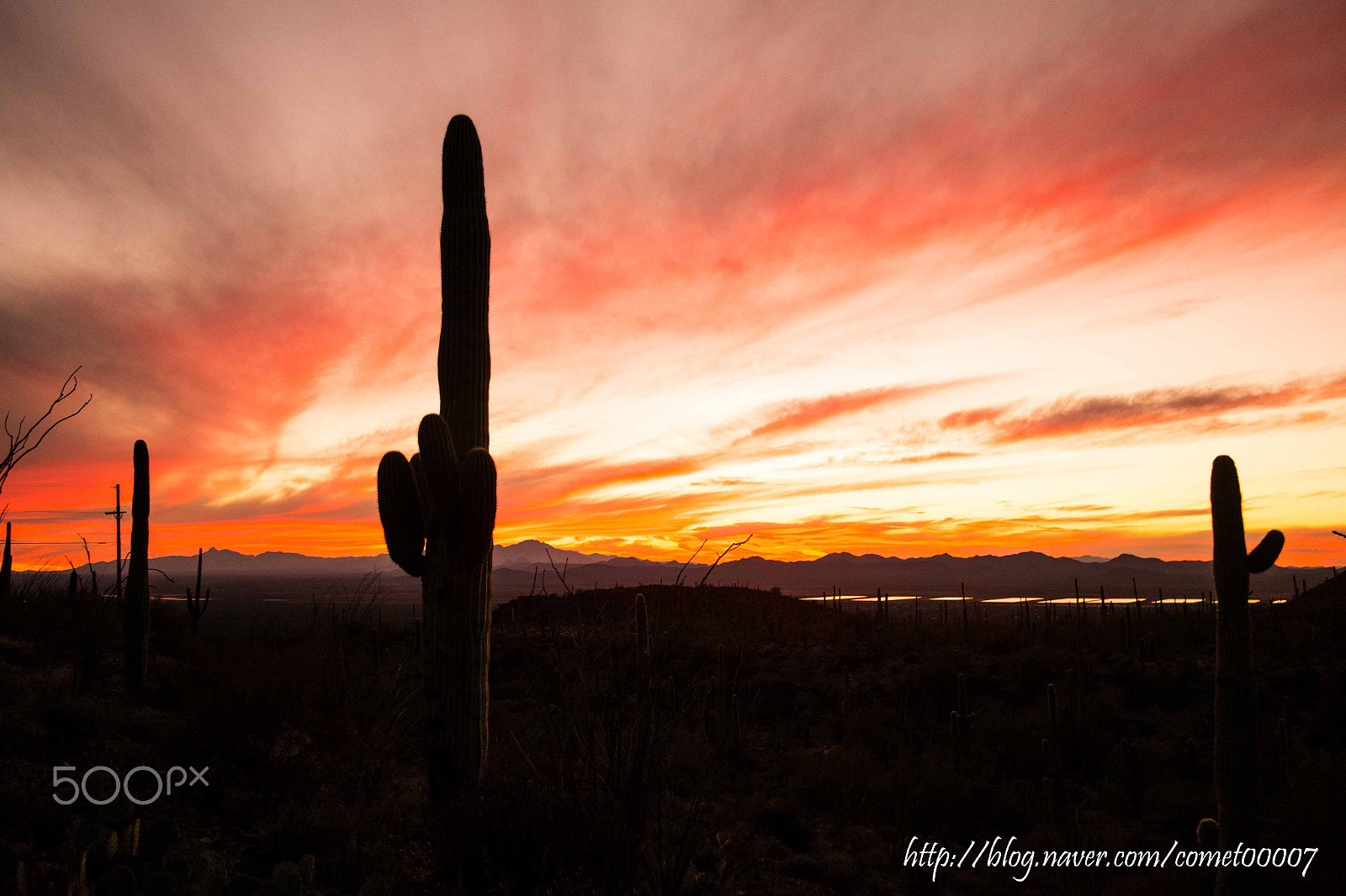 Samsung NX200 sample photo. Saguaro sunset photography