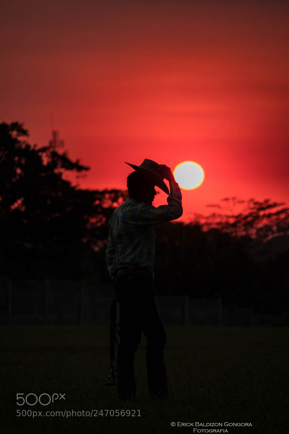 Canon EOS 80D sample photo. Untitled photography
