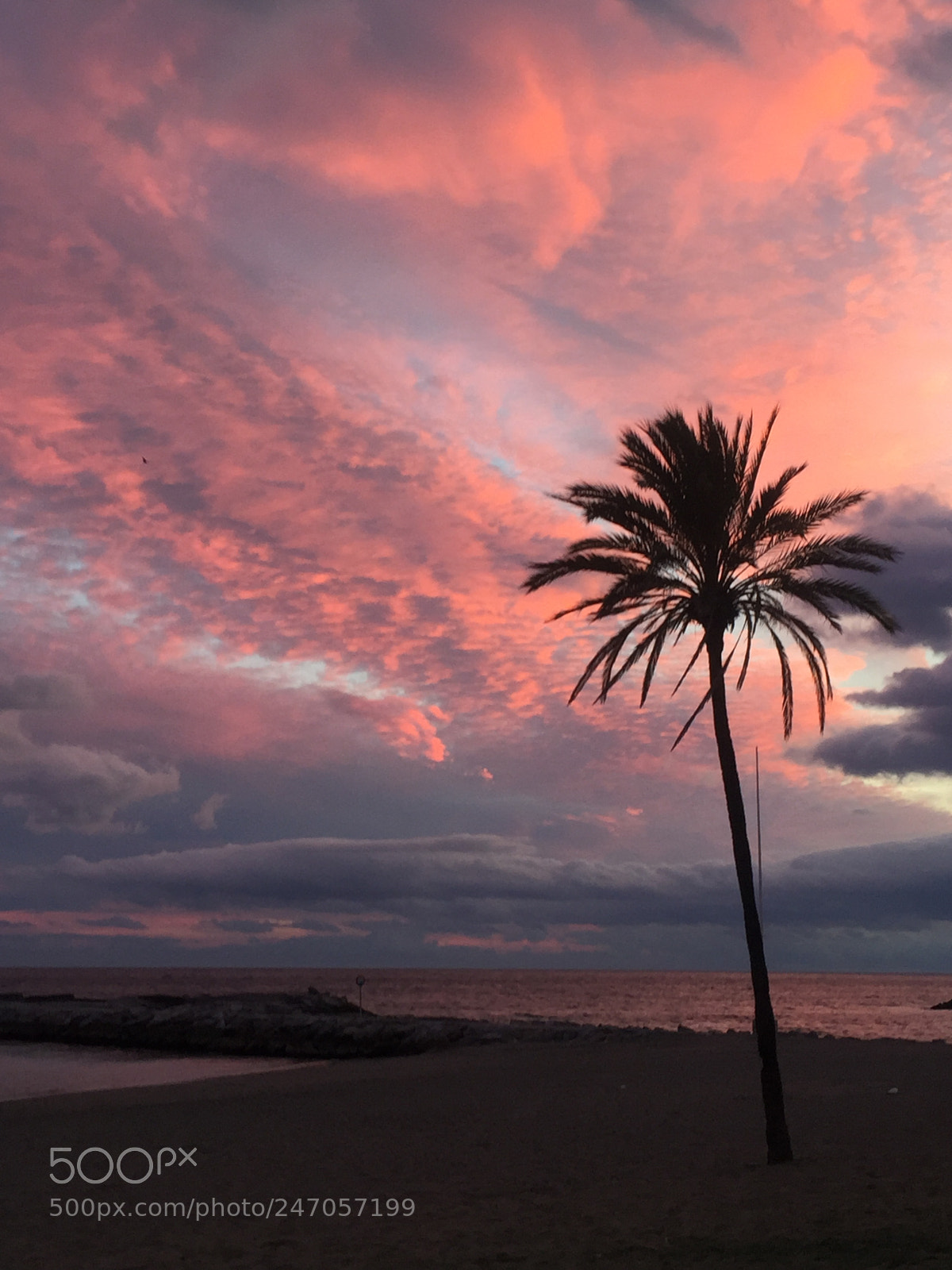 Apple iPhone 6 sample photo. Dusk tramps beach porto photography