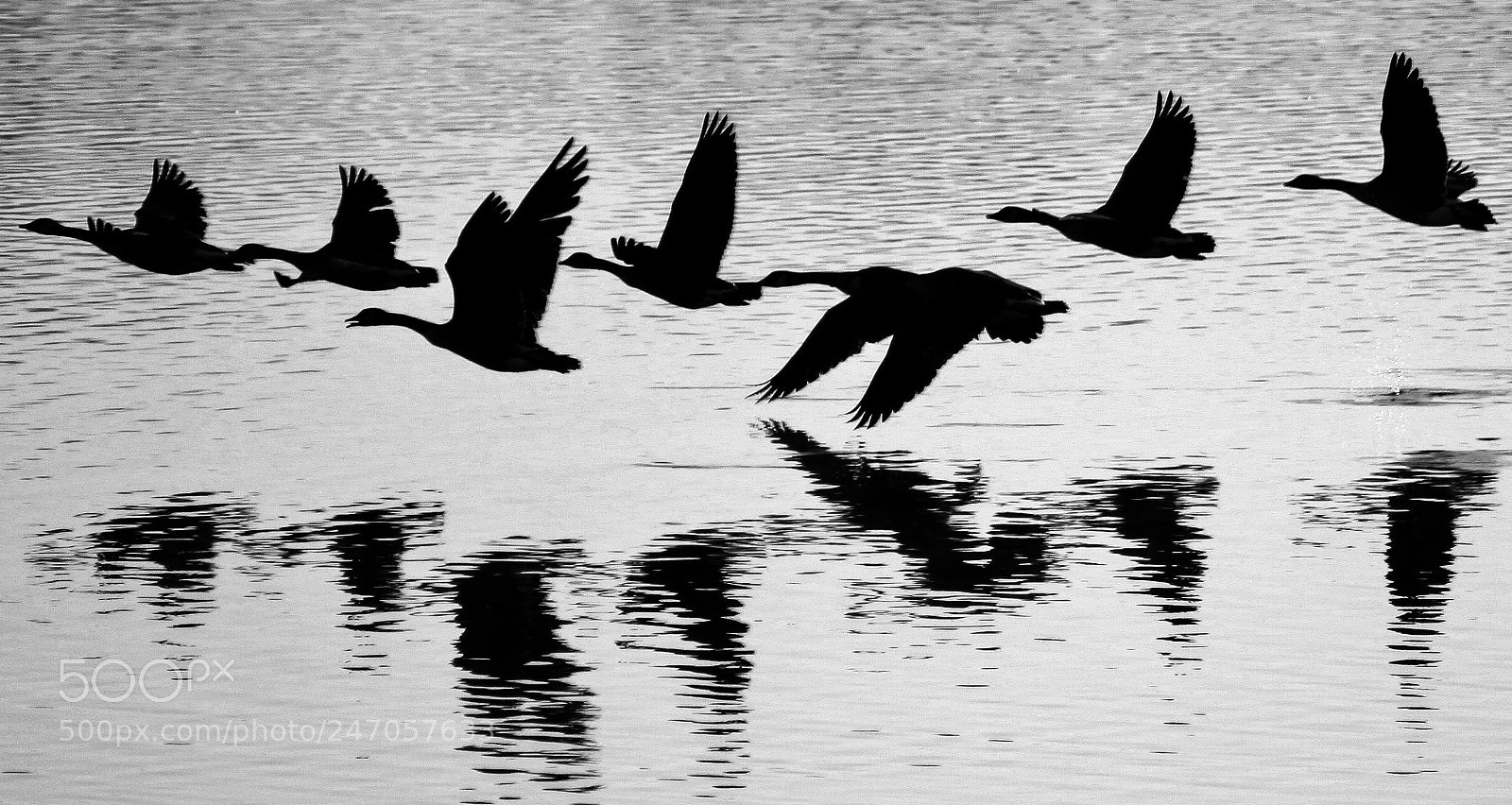 Canon EOS 50D sample photo. Reflection photography
