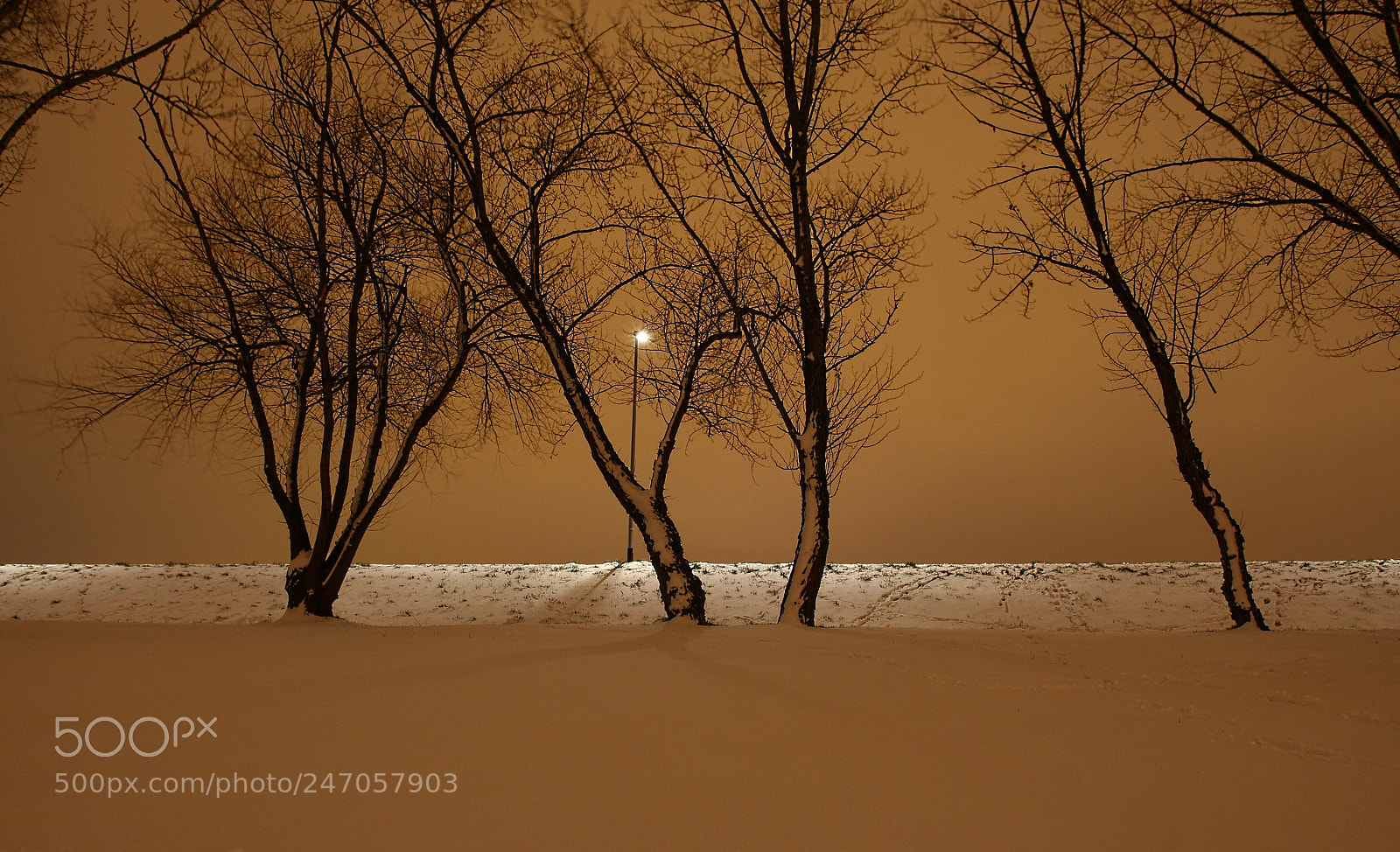 Canon EOS 700D (EOS Rebel T5i / EOS Kiss X7i) sample photo. Let it snow photography