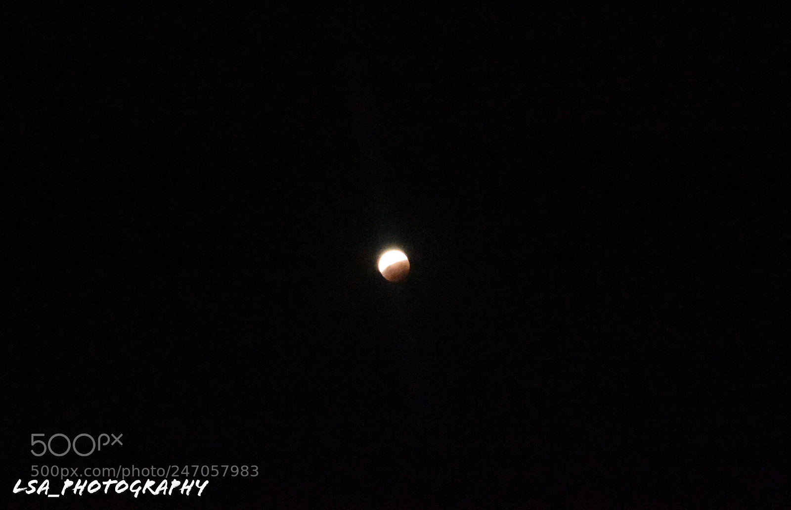 Nikon D3400 sample photo. This is the only photography