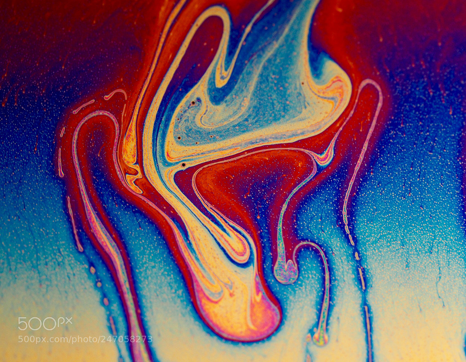 Olympus OM-D E-M1 sample photo. Soap film photography. photography