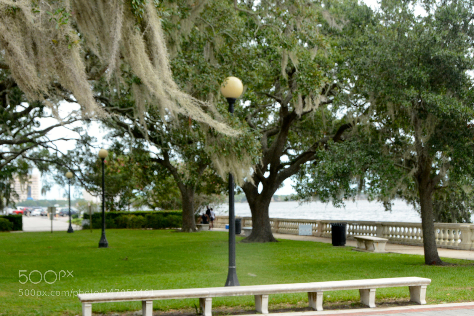 Nikon D7100 sample photo. City park photography
