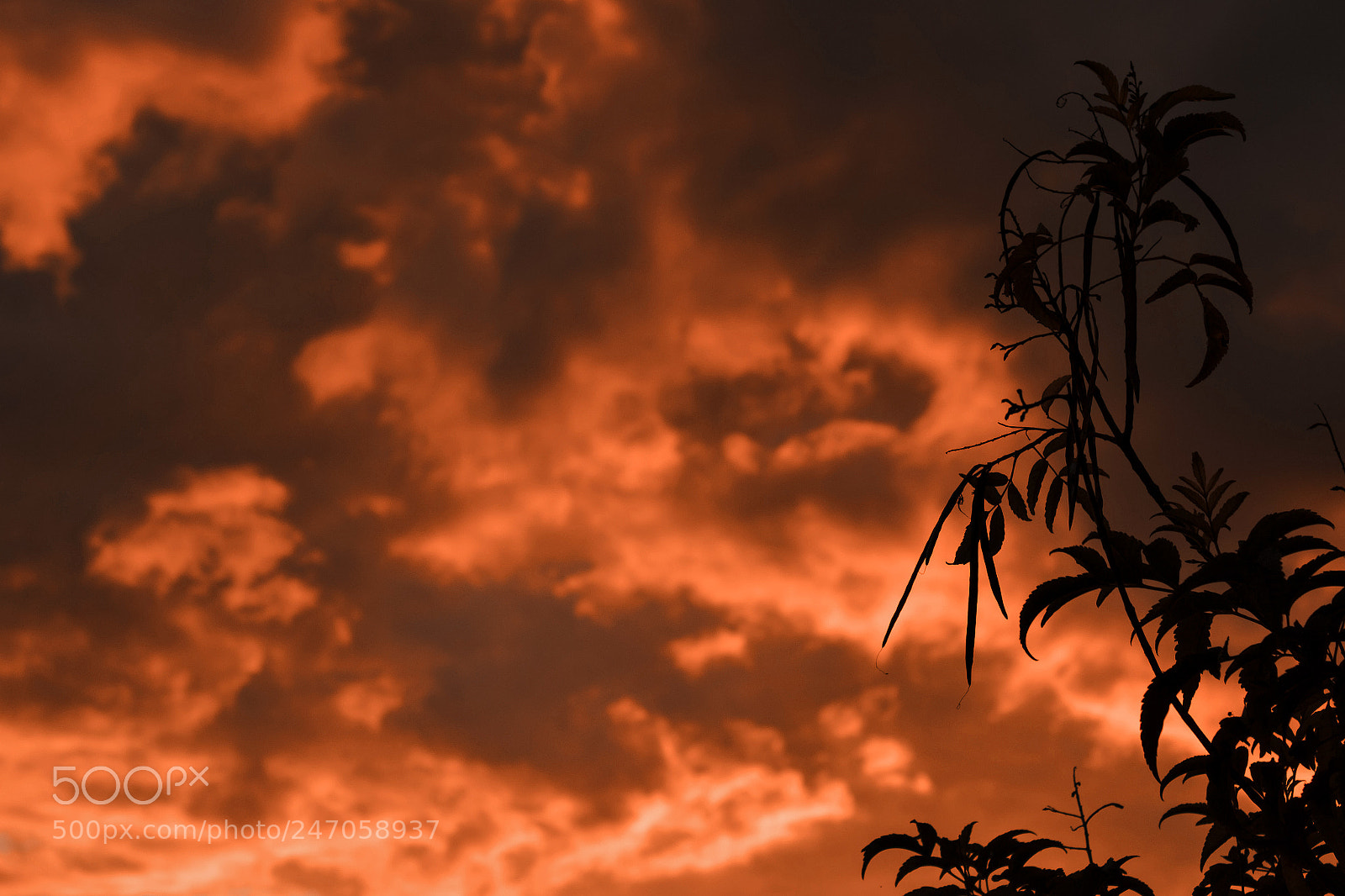 Canon EOS 1300D (EOS Rebel T6 / EOS Kiss X80) sample photo. Sky fire photography