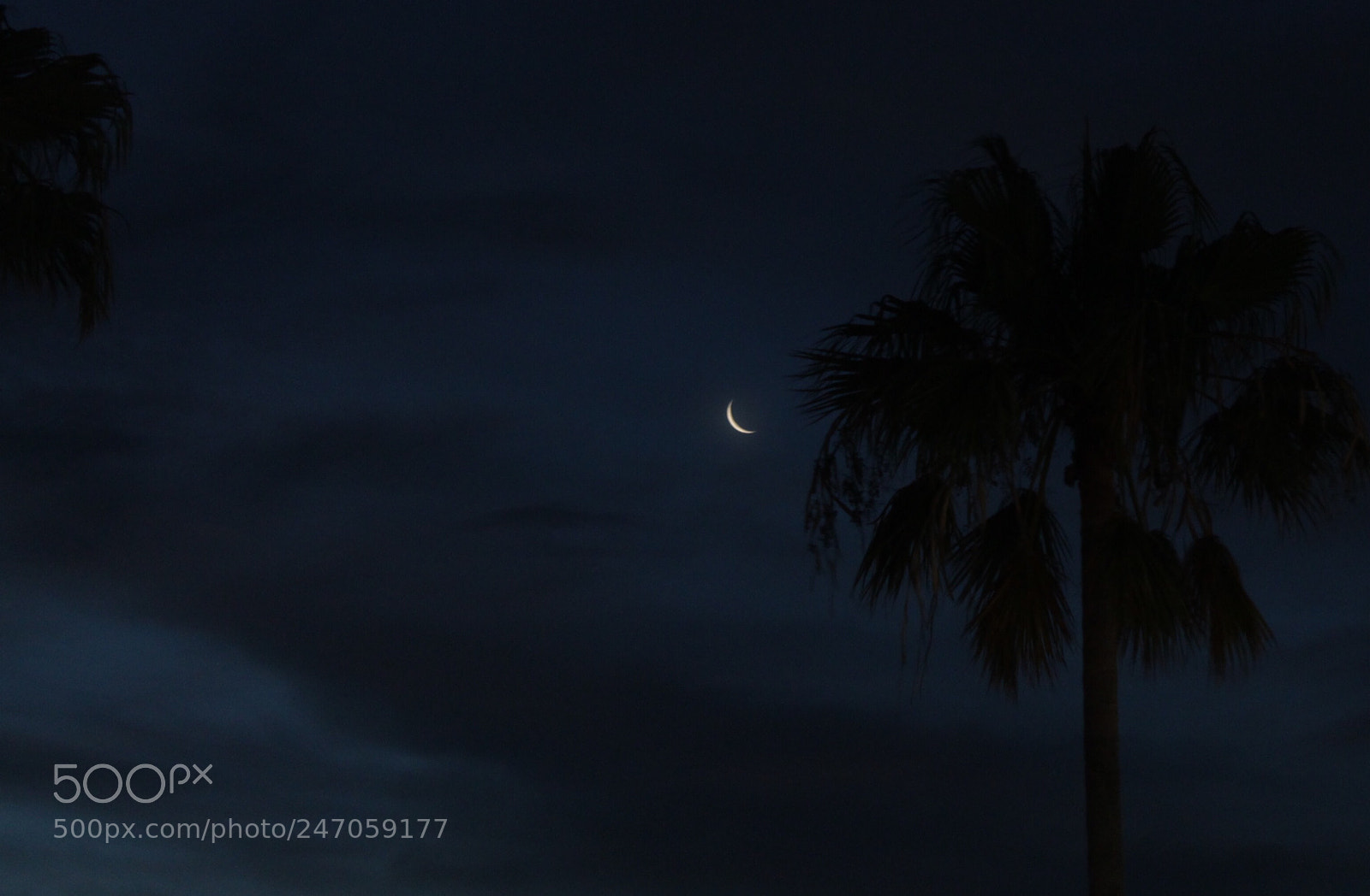 Canon EOS 1100D (EOS Rebel T3 / EOS Kiss X50) sample photo. ?i photography