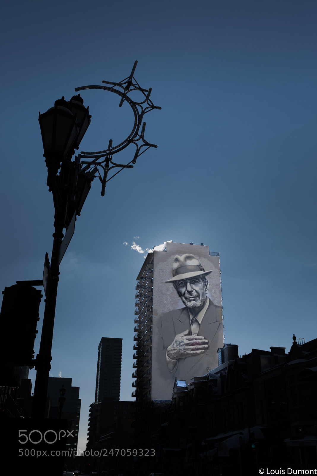 Nikon D810 sample photo. Leonard cohen is montre photography