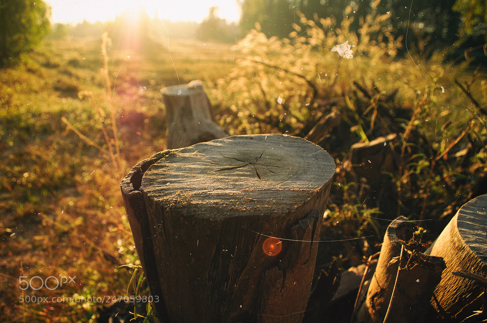 Nikon D70 sample photo. Nature and sunrise #1 photography