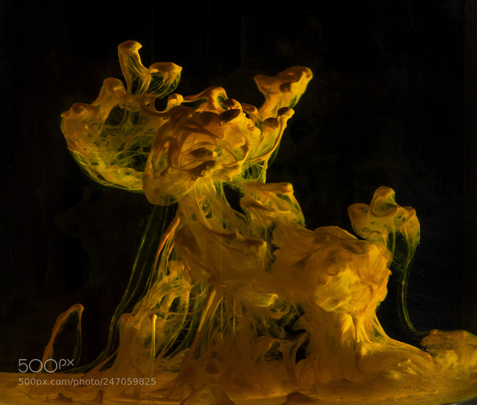 Nikon D90 sample photo. Yellow photography
