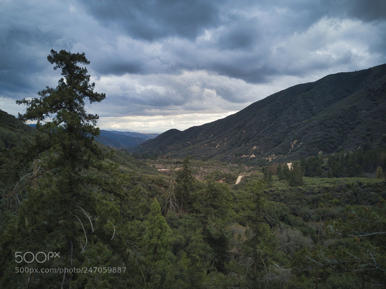 DJI FC220 sample photo. San bernardino national forest photography