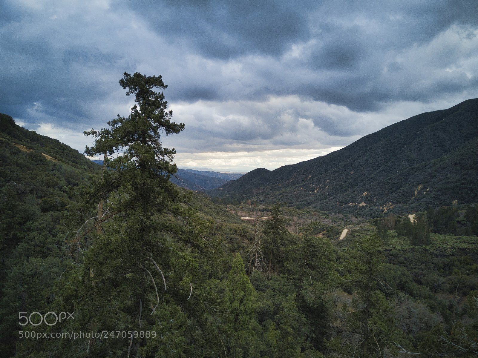 DJI FC220 sample photo. San bernardino national forest photography