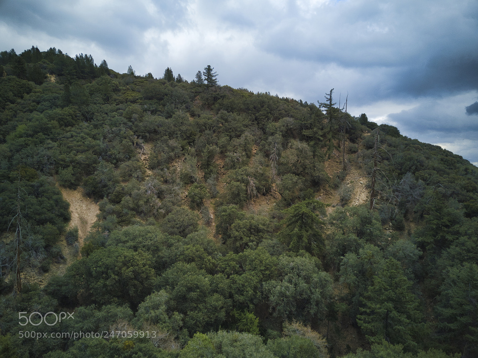 DJI FC220 sample photo. San bernardino national forest photography