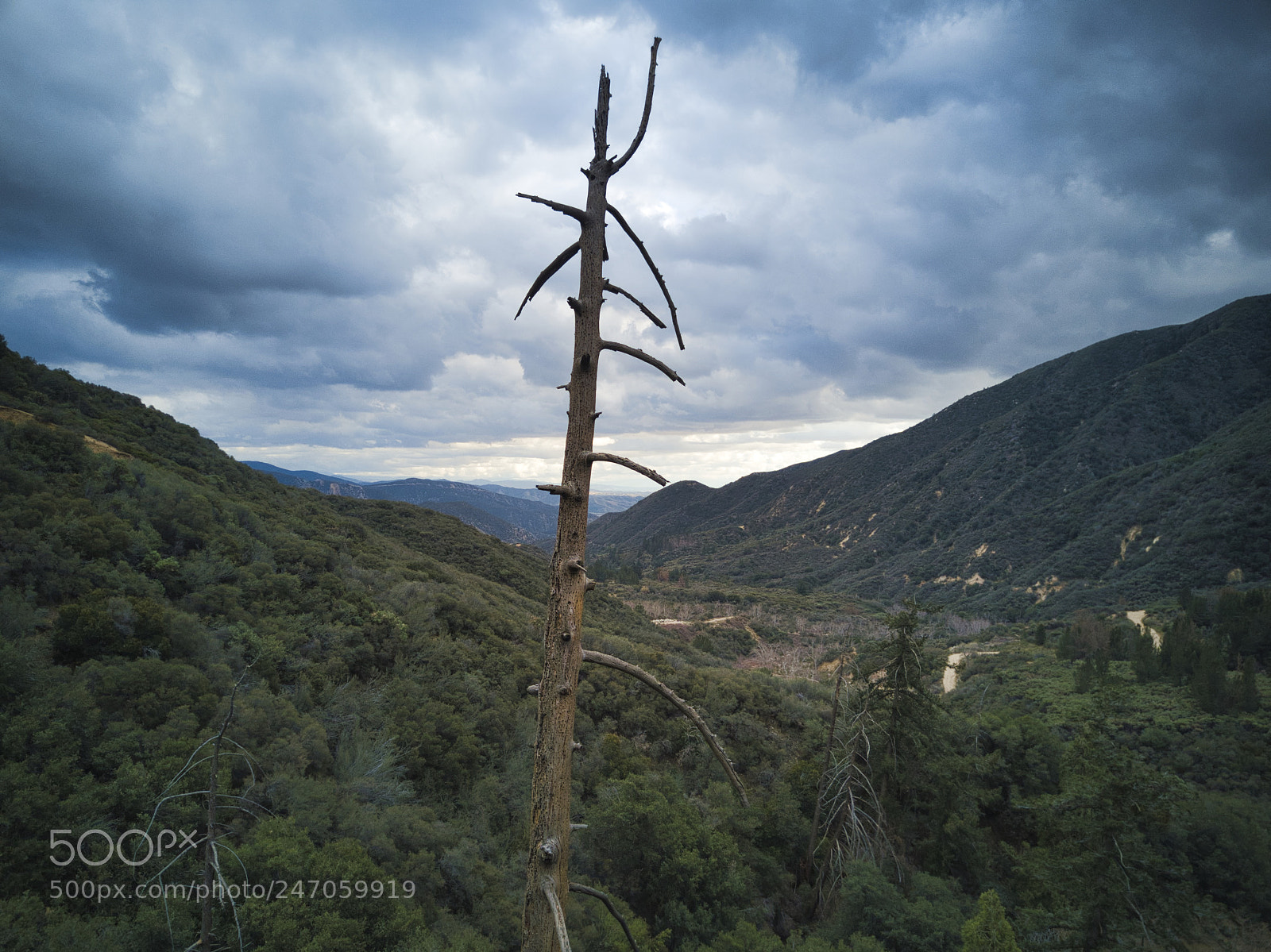 DJI FC220 sample photo. San bernardino national forest photography