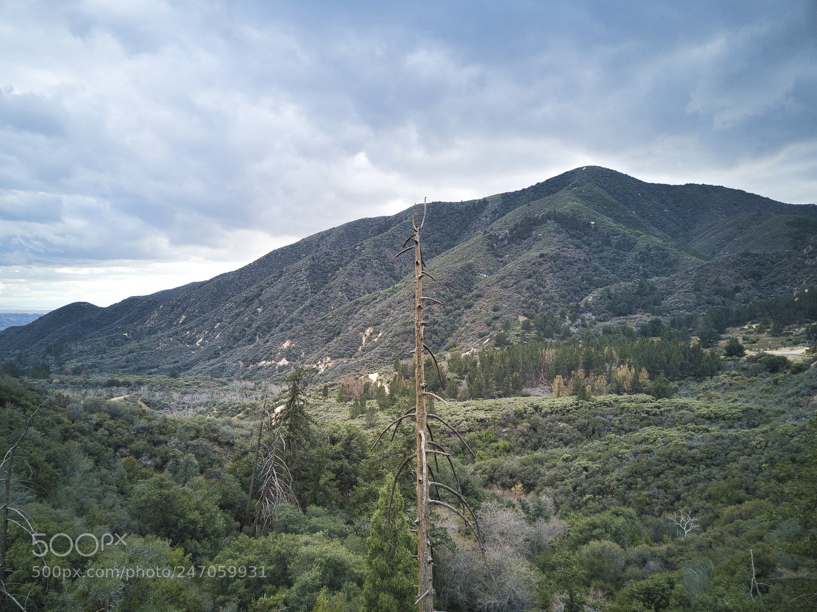 DJI FC220 sample photo. San bernardino national forest photography