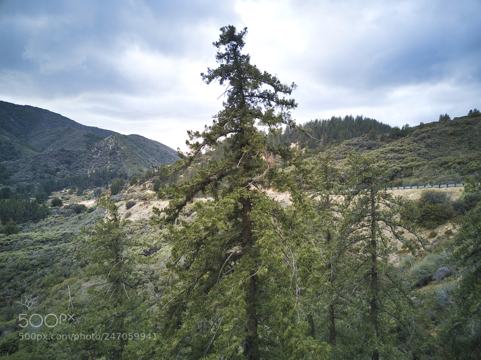 DJI FC220 sample photo. San bernardino national forest photography