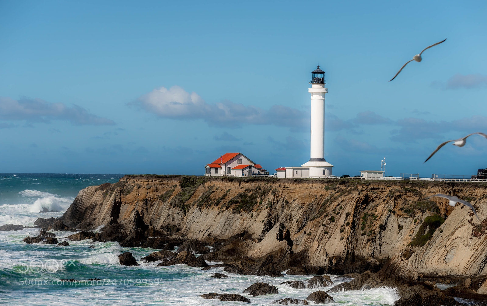 Nikon D810 sample photo. Point arena photography