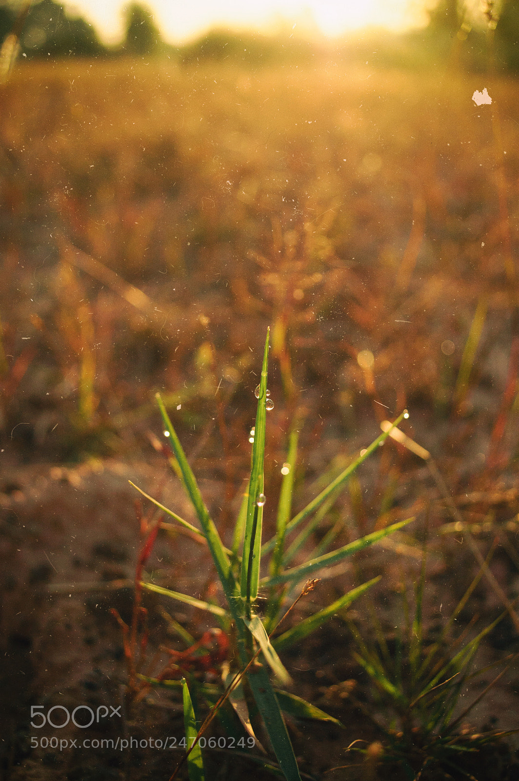 Nikon D70 sample photo. Nature and sunrise #7 photography