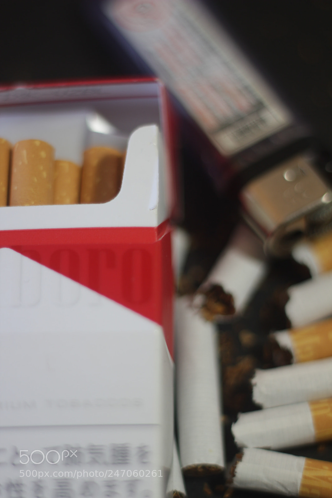Canon EOS 550D (EOS Rebel T2i / EOS Kiss X4) sample photo. Tabaco photography