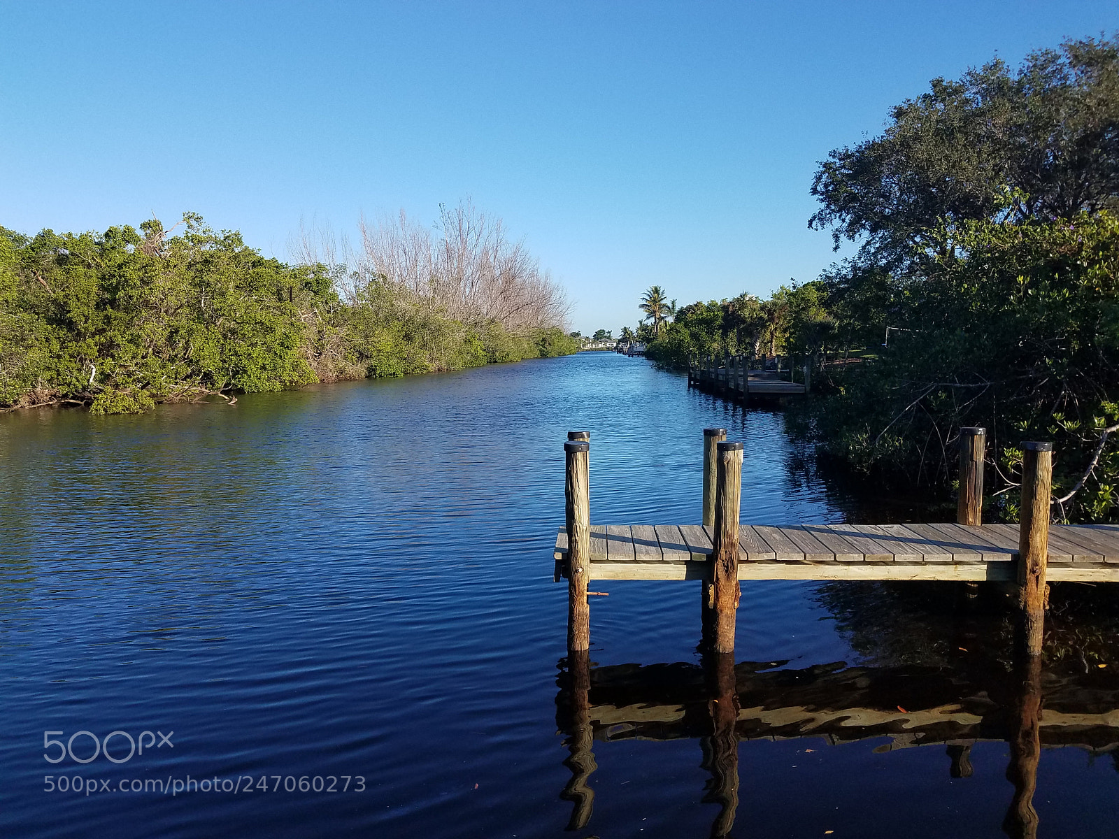 Samsung Galaxy S7 Edge sample photo. Down by the river photography