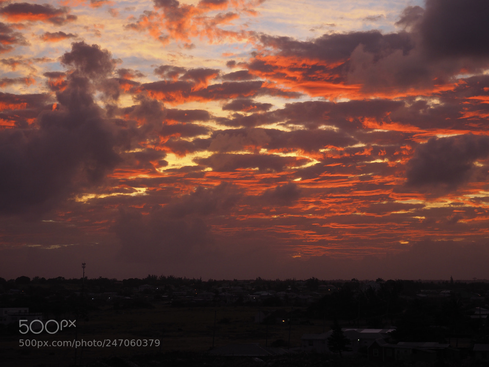 Olympus OM-D E-M10 II sample photo. True colours. crimson sunset. photography