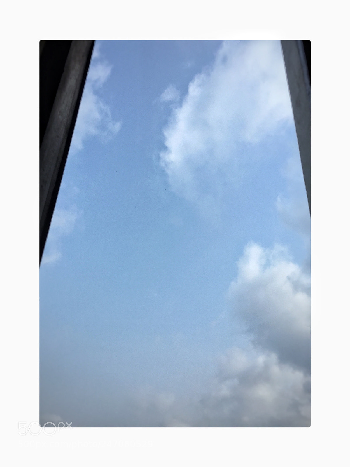 Apple iPhone 6 Plus sample photo. Untitled photography