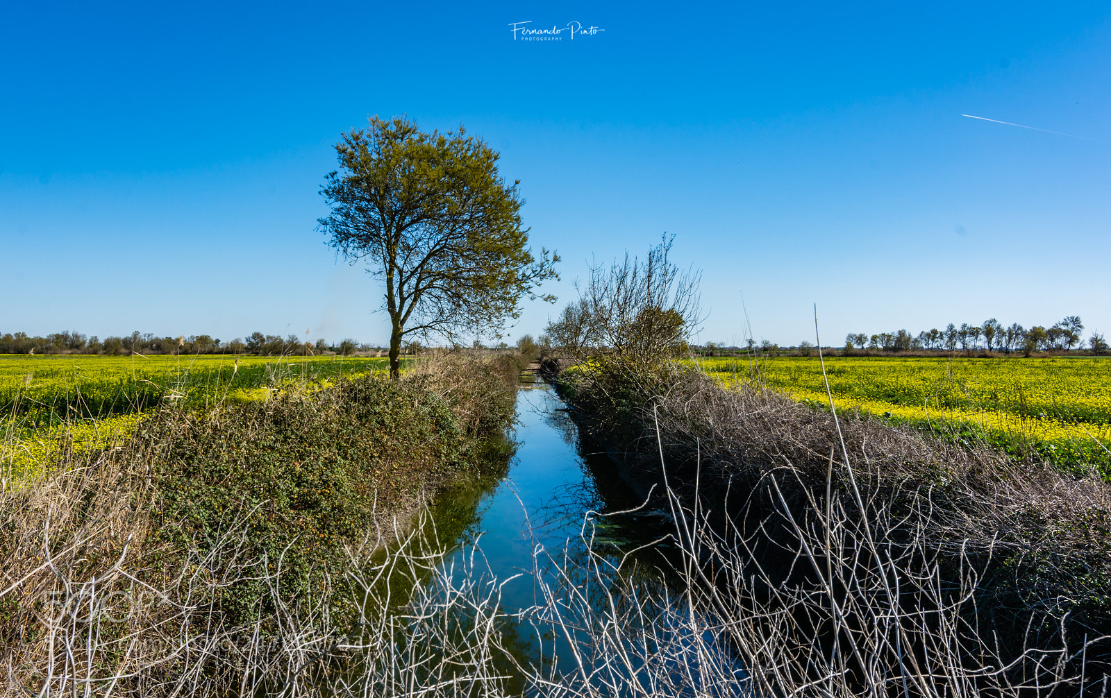 Nikon D7100 sample photo. Campo photography