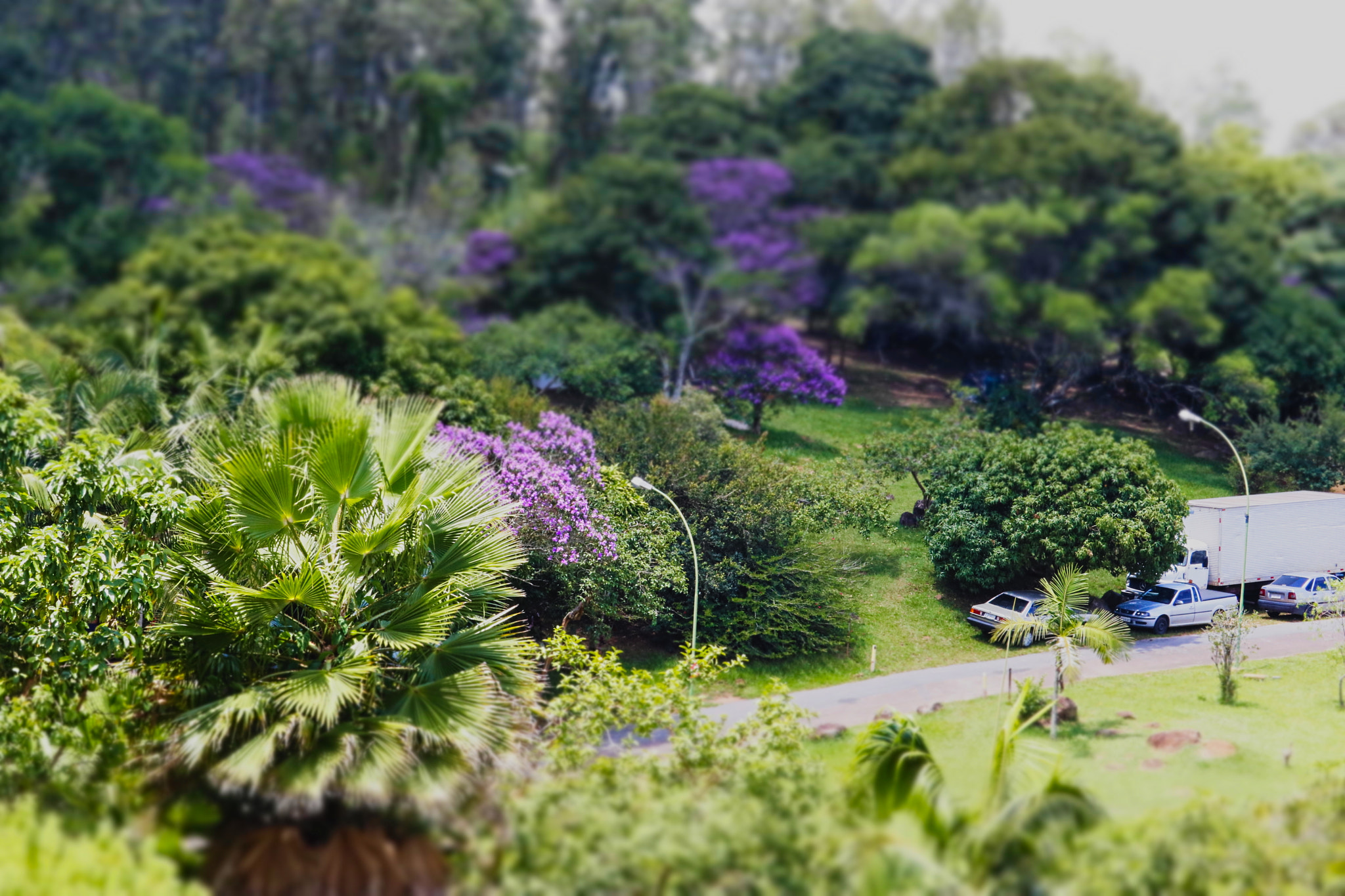 Canon EF-S 55-250mm F4-5.6 IS STM sample photo. Carrinhos photography