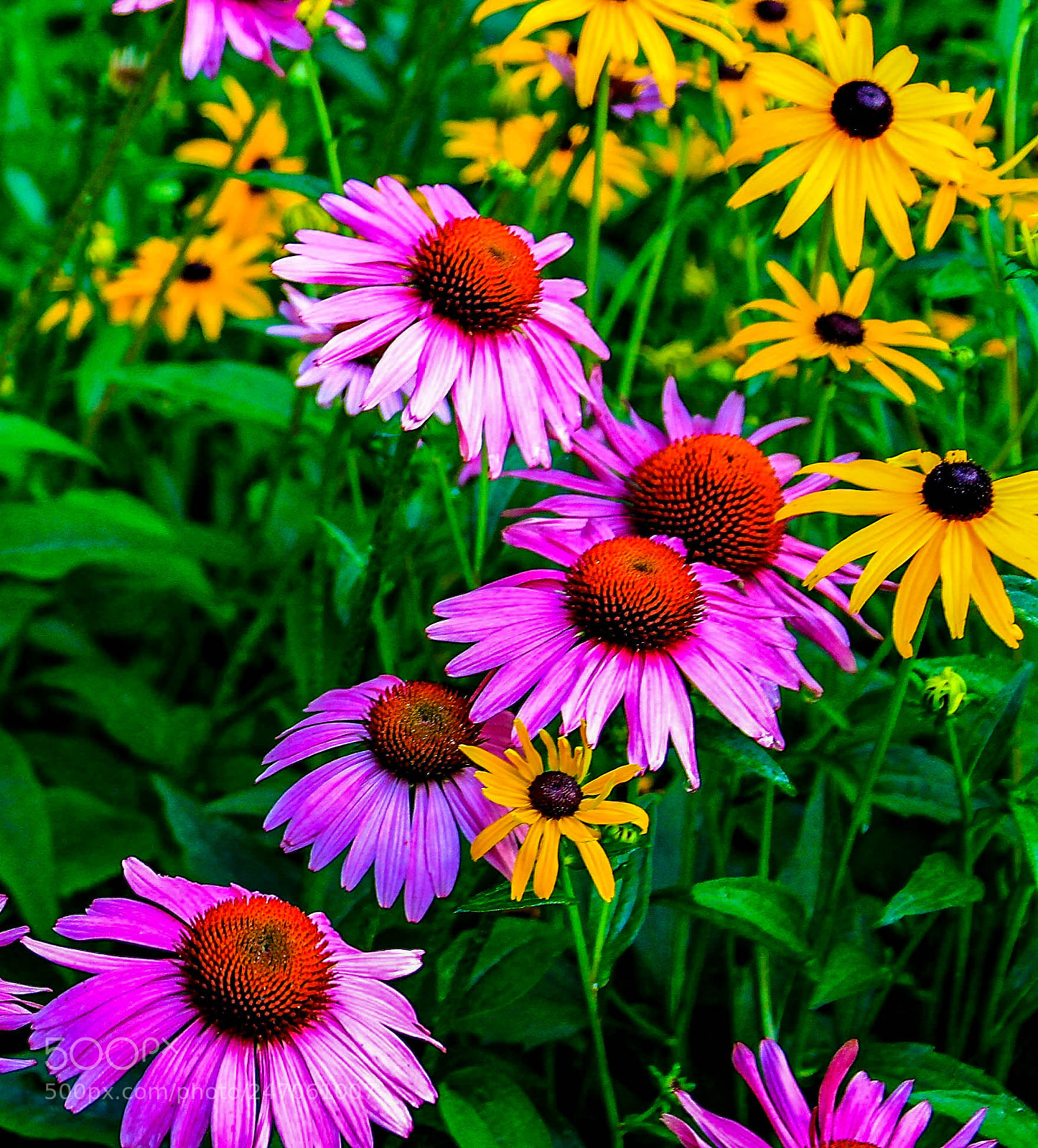 Canon EOS 7D sample photo. Maggievalley photography
