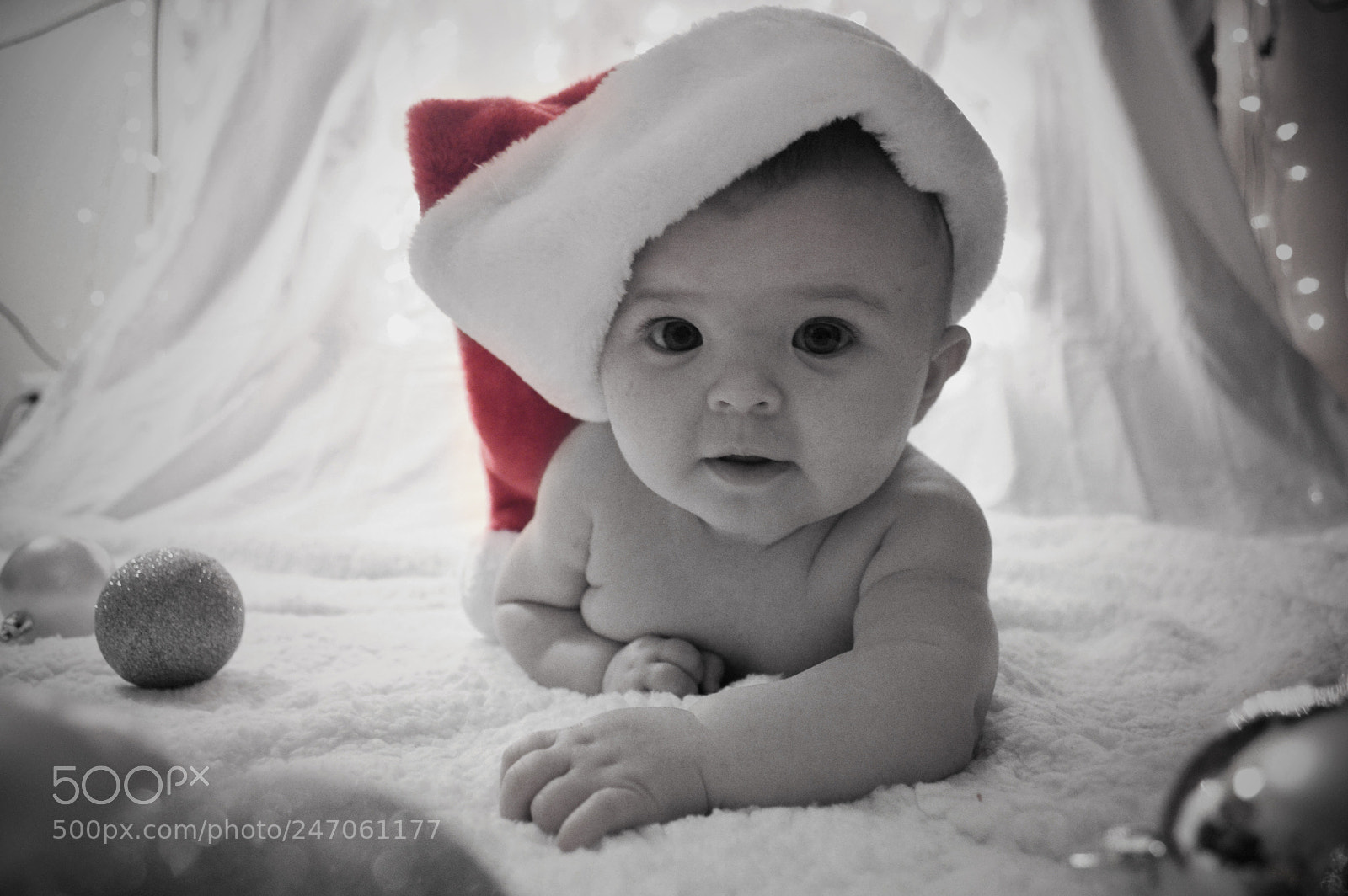 Nikon D3200 sample photo. Christmas card photography
