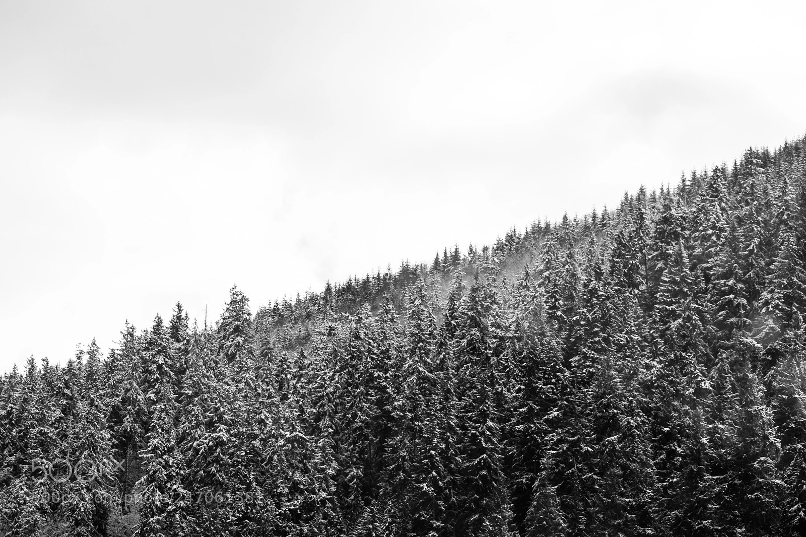 Nikon D5600 sample photo. Mountain skies photography