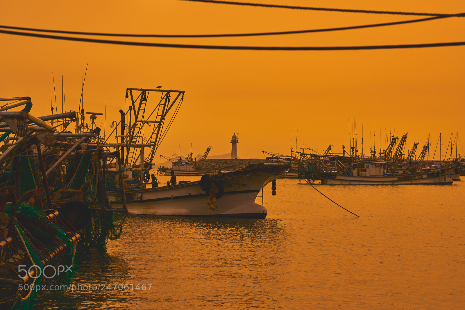 Sony a7R II sample photo. Rd photography
