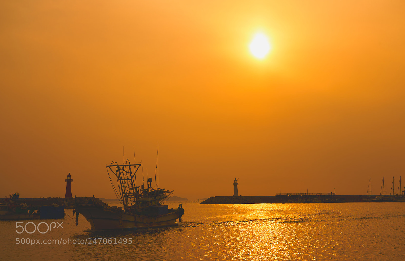 Sony a7R II sample photo. Rd photography