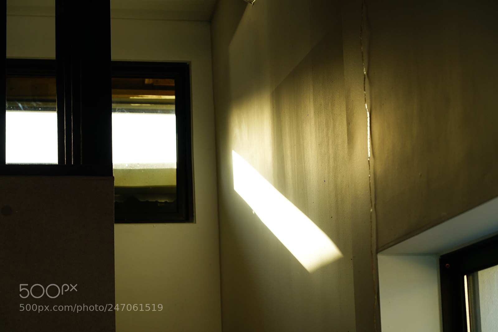 Sony a7R II sample photo. Org rd photography