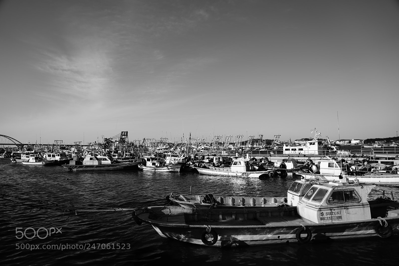 Sony a7R II sample photo. Org rd photography