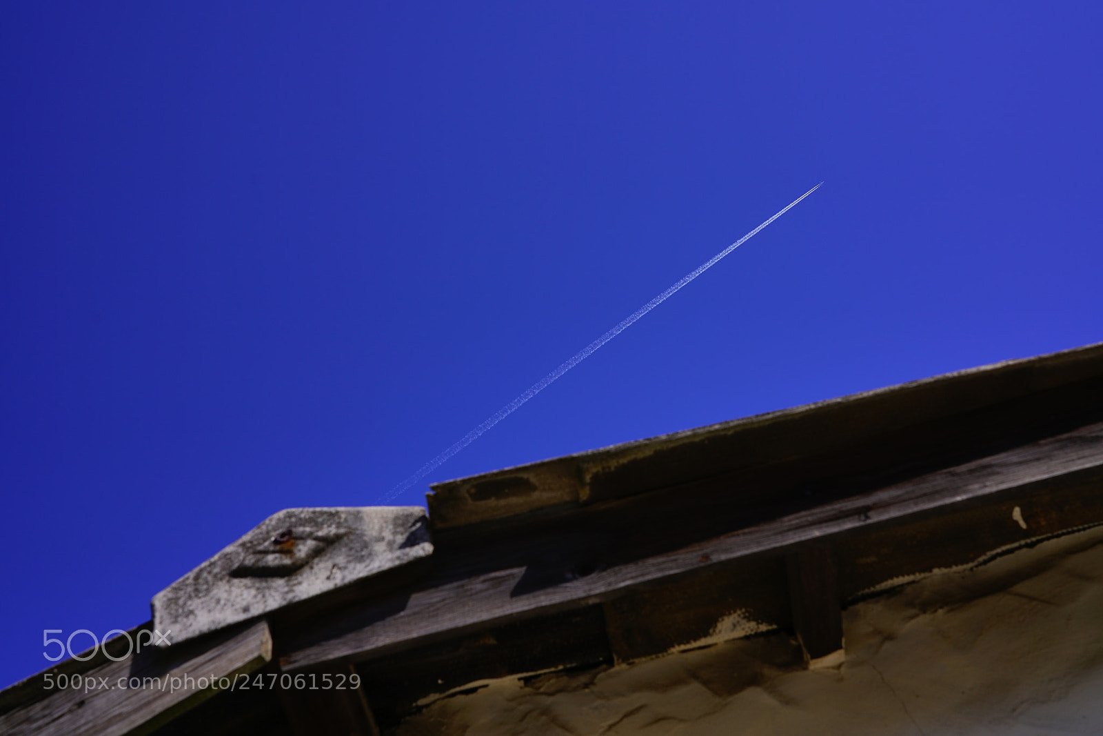 Sony a7R II sample photo. Org rd photography