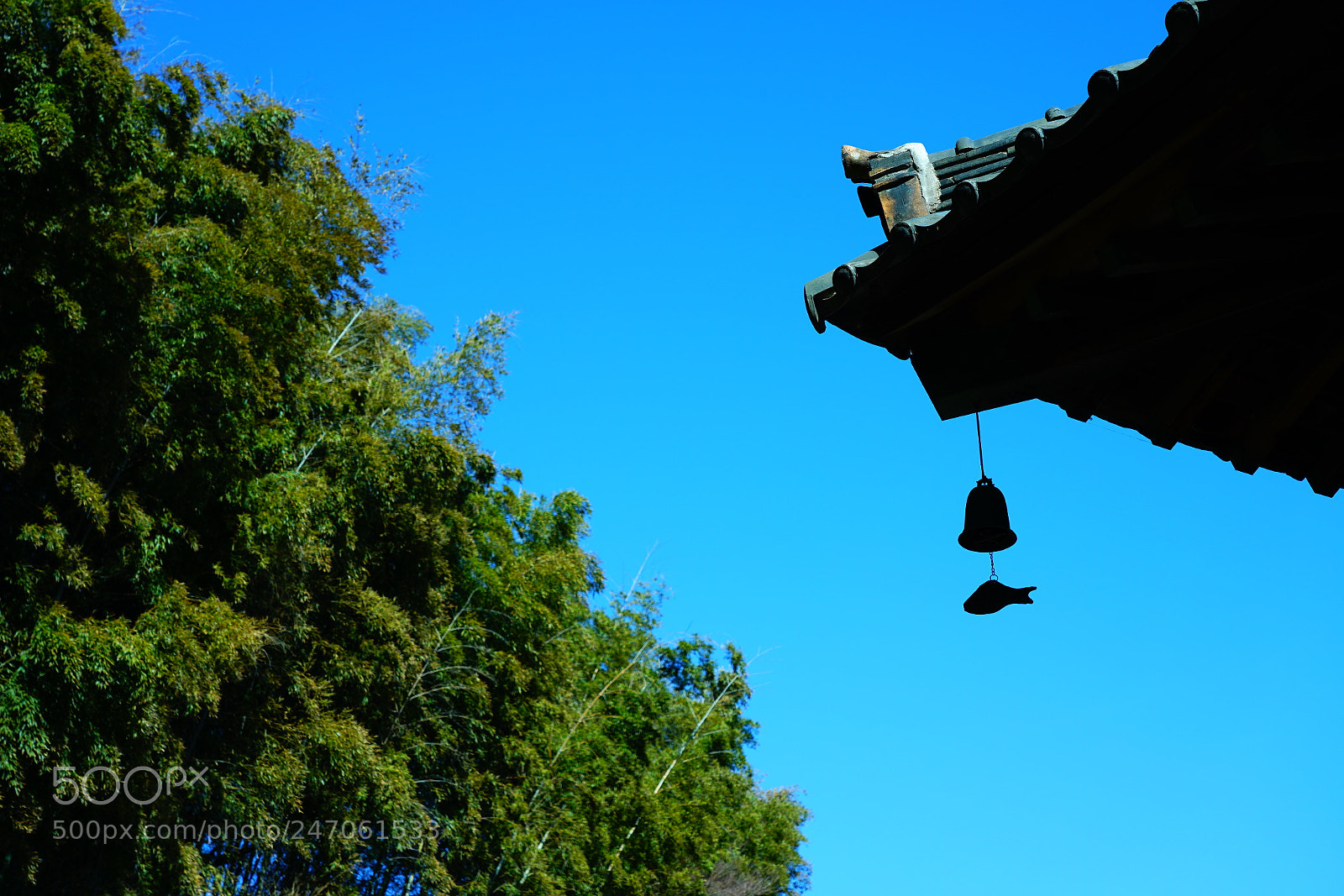 Sony a7R II sample photo. Org rd photography