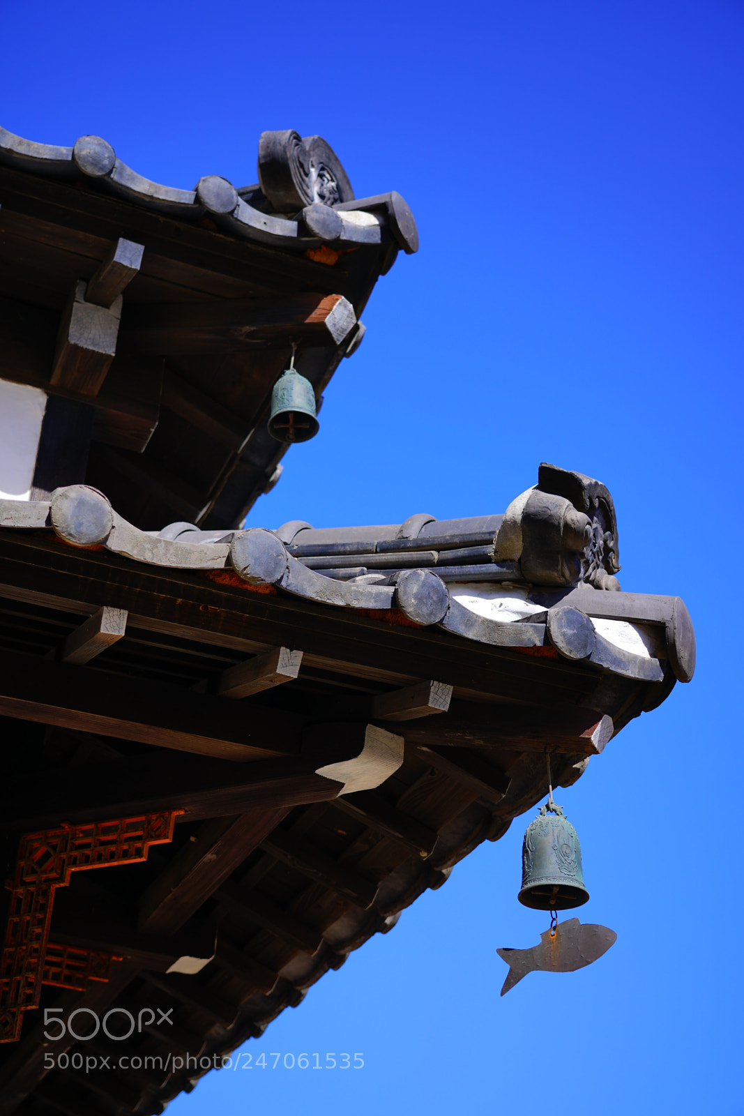 Sony a7R II sample photo. Org rd photography