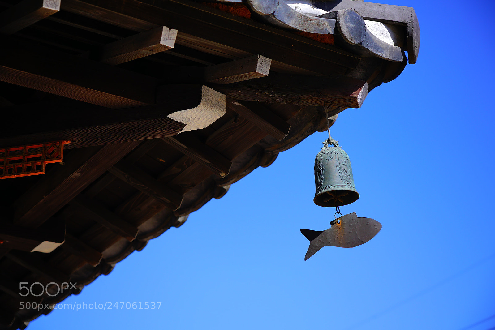 Sony a7R II sample photo. Org rd photography
