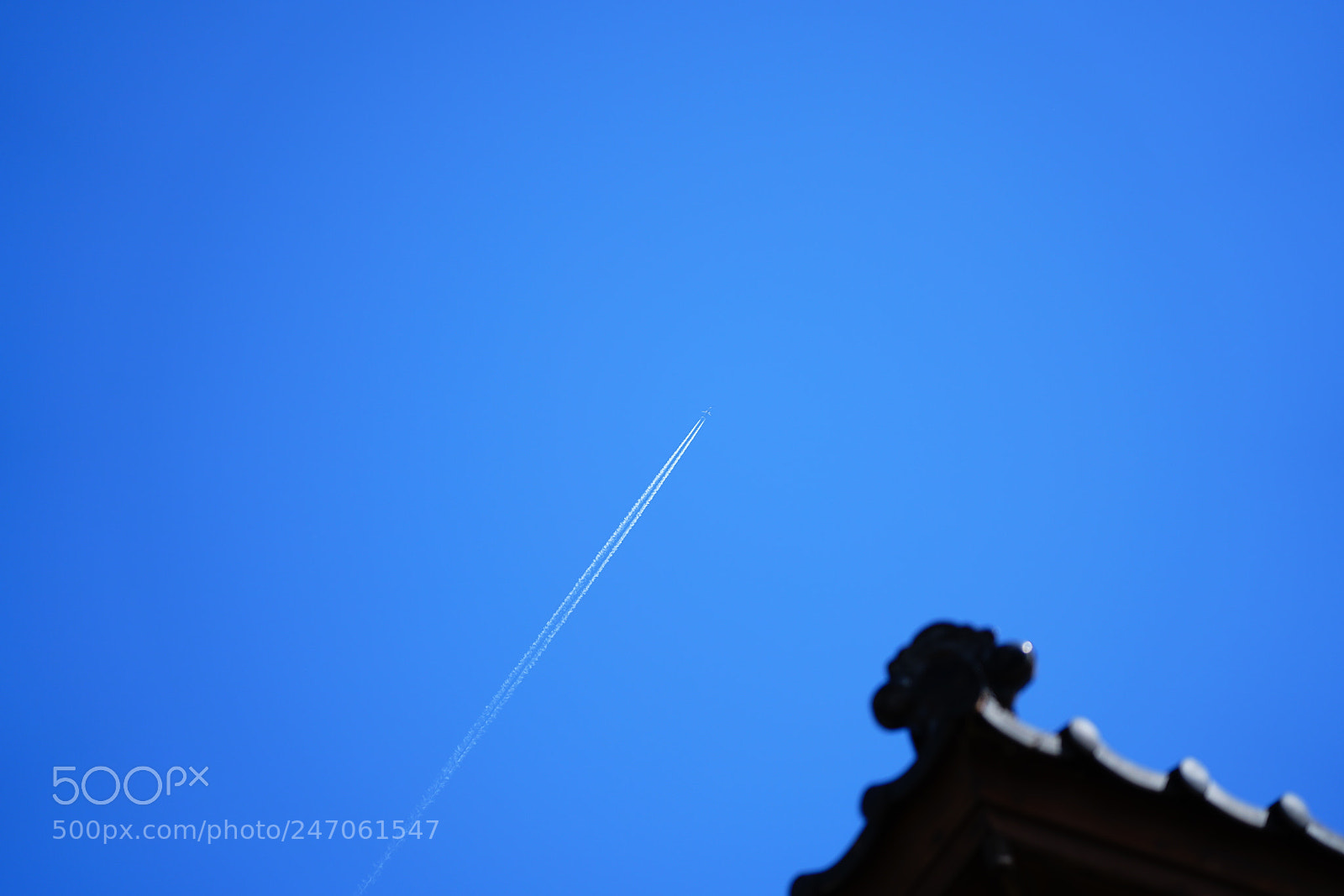 Sony a7R II sample photo. Org rd photography