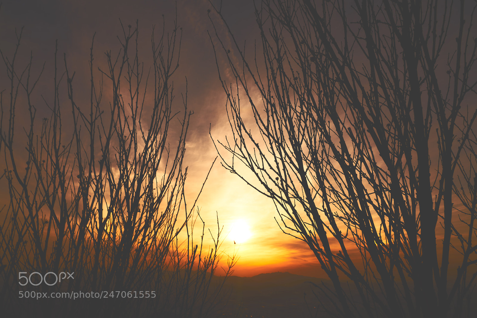 Sony a7R II sample photo. Rd photography