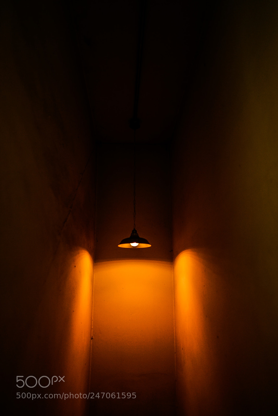 Sony a7R II sample photo. Rd photography