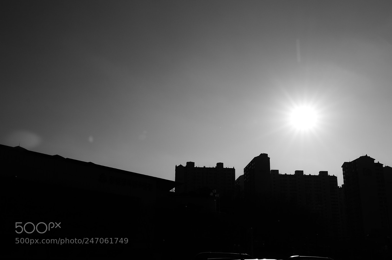 Sony Alpha NEX-5R sample photo. Dsc photography