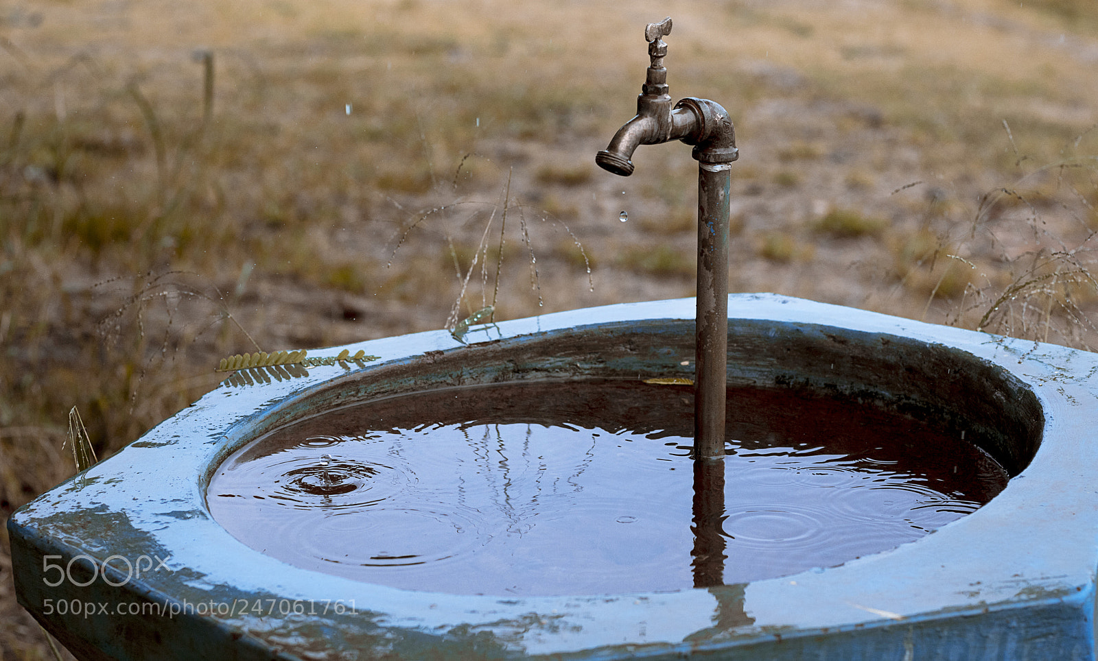 Canon EOS 750D (EOS Rebel T6i / EOS Kiss X8i) sample photo. Dripping faucet photography