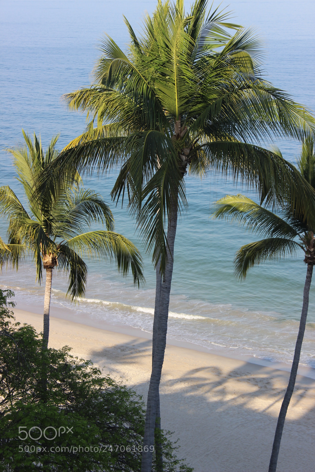 Canon EOS 600D (Rebel EOS T3i / EOS Kiss X5) sample photo. View from the suite photography
