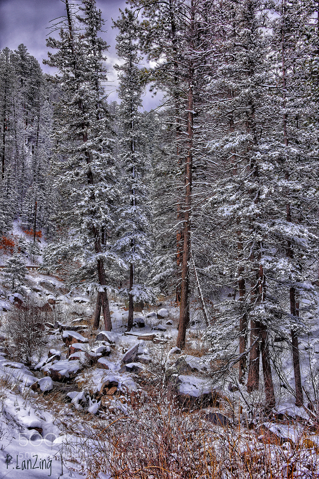 Nikon D810 sample photo. Snow in the jemez photography