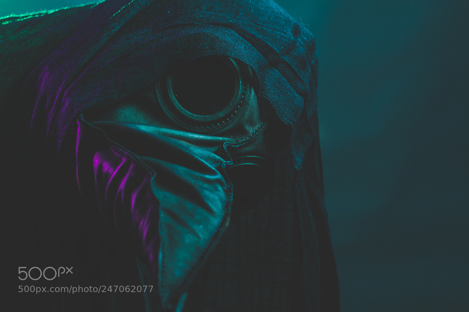 Canon EOS 7D sample photo. Crow photography