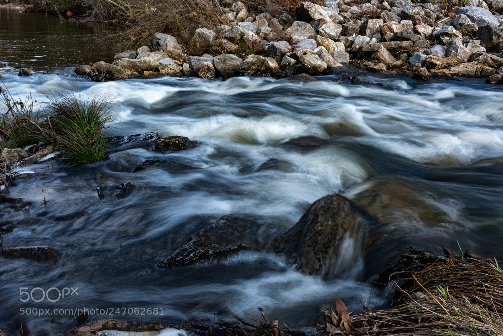 Nikon D810 sample photo. Small creek photography
